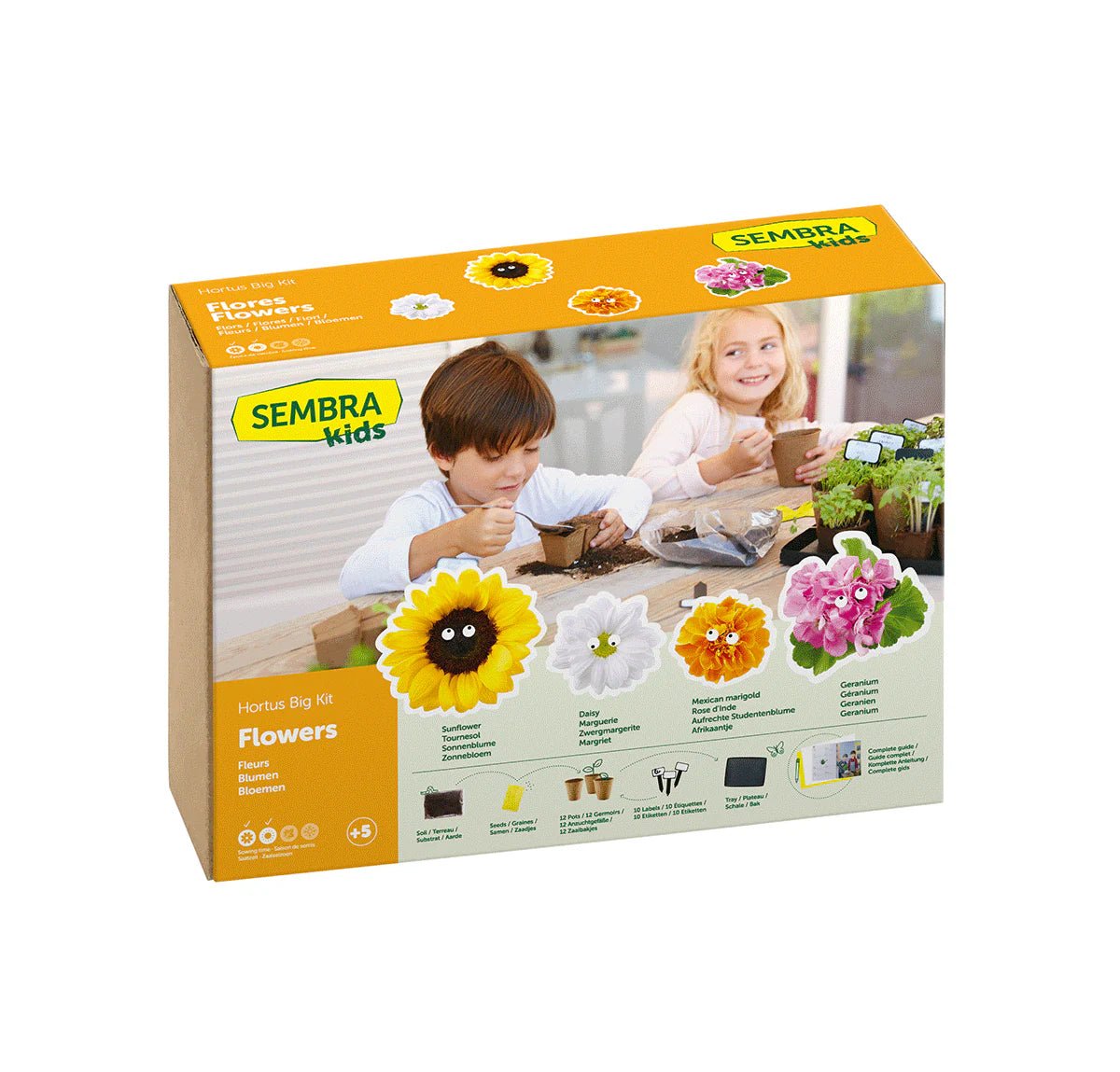 Buy SEMBRA Big Summer Flower Kit | for kids by Learning Bugs UK