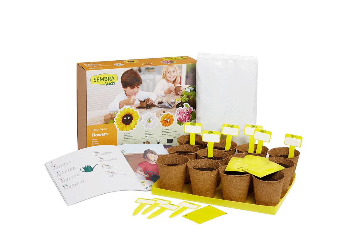 Buy SEMBRA Big Summer Flower Kit | for kids by Learning Bugs UK