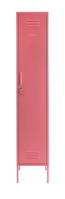 The Skinny – The Skinny for children, available at Learning Bugs UK
