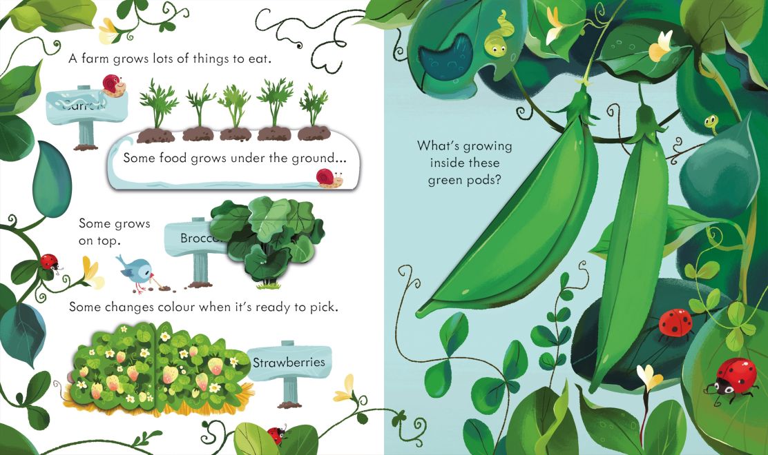 Peep Inside the Farm By Anna Milbourne by Usborne Books - Learning Bugs UK