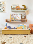 Buy The Colour Pop Book & Toy Trough | Book Trough for kids by Learning Bugs UK