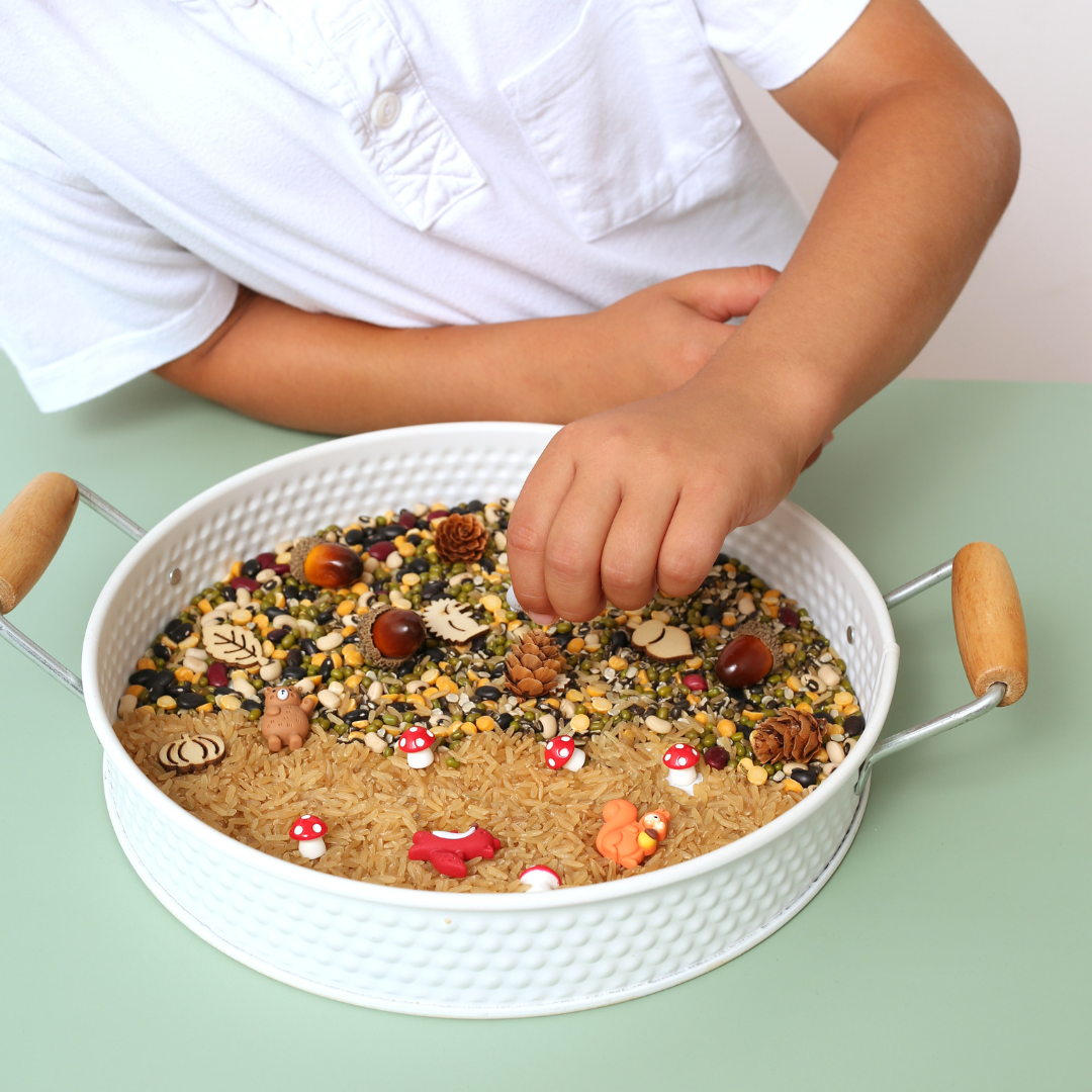 Woodland Sensory Kit – Nature-Inspired Play Adventure