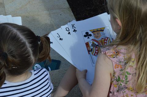 Giant Cards XXL by Traditional Garden Games - Learning Bugs UK