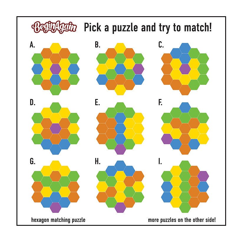 Begin Again Hexagon Matching Puzzle by Begin Again - Learning Bugs UK