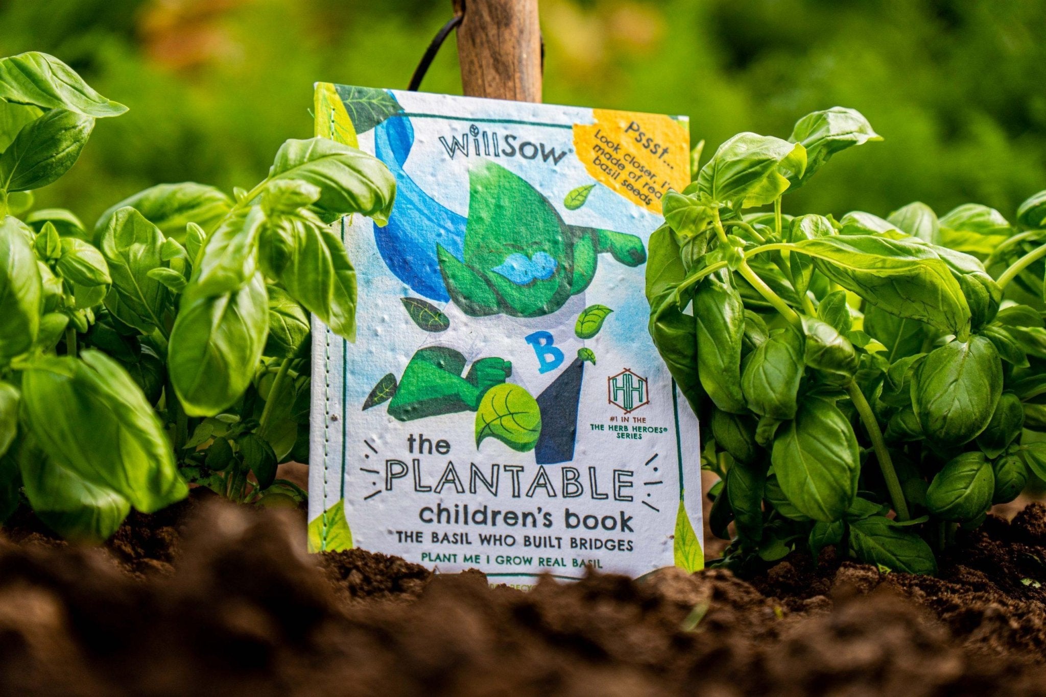 Willsow Children's Plantable Book - The Basil Who Built Bridges - Grow-Your-Own Basil Eco Storybook by Willsow