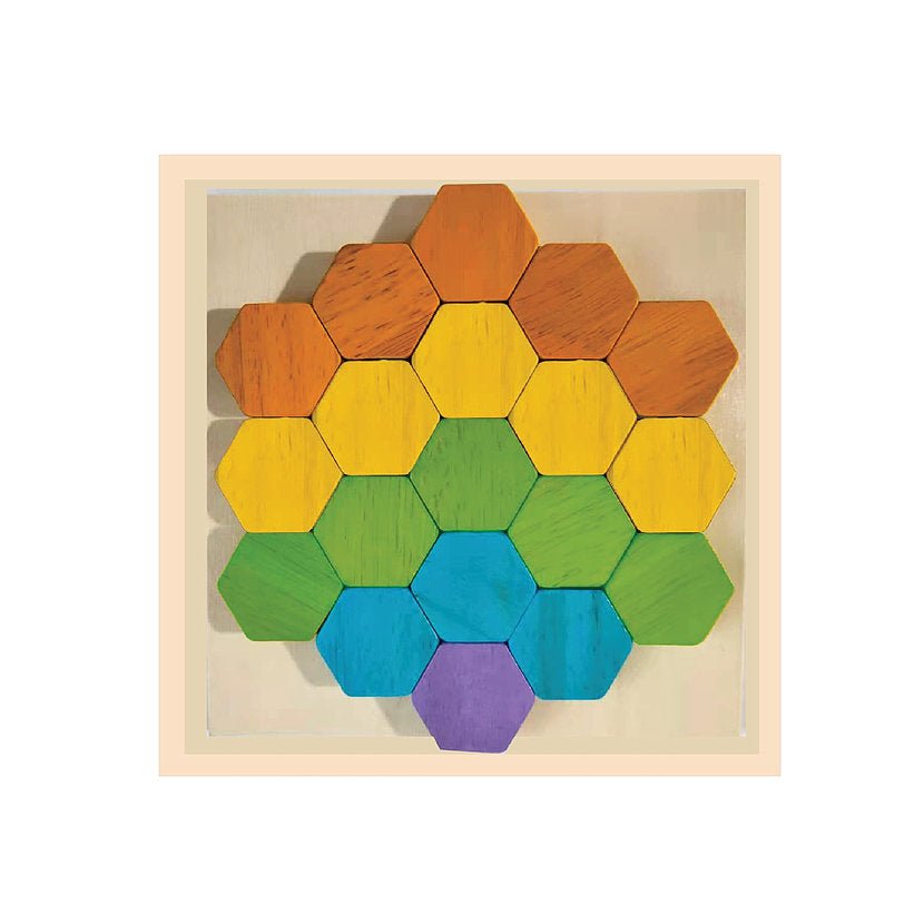 Begin Again Hexagon Matching Puzzle by Begin Again - Learning Bugs UK