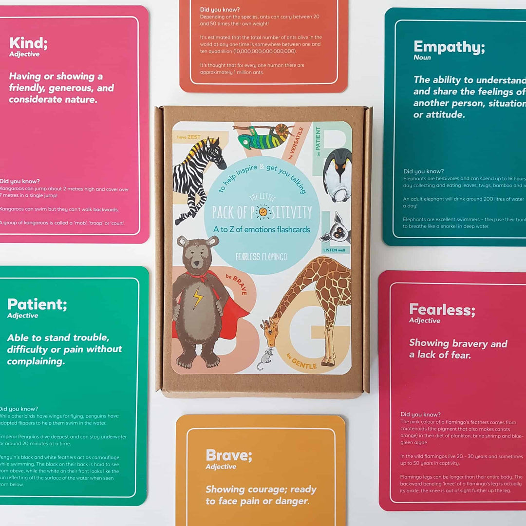 Little Pack of Positivity - Mindfulness Flashcards 2 Pack