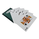 Giant Cards XXL by Traditional Garden Games - Learning Bugs UK