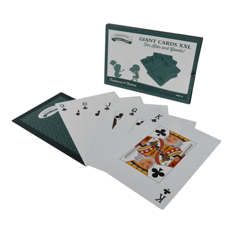 Giant Cards XXL by Traditional Garden Games - Learning Bugs UK