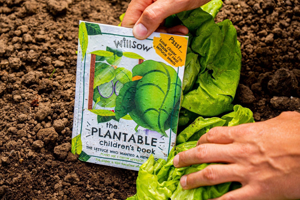 Willsow Children's Plantable Book - The Lettuce Who Wanted a New Look | Eco-Friendly Story & Gardening Gift by Willsow - Learning Bugs UK