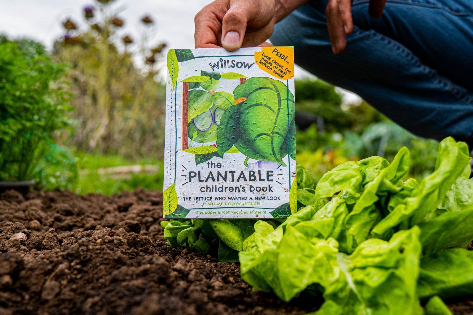 Willsow Children's Plantable Book - The Lettuce Who Wanted a New Look | Eco-Friendly Story & Gardening Gift by Willsow - Learning Bugs UK