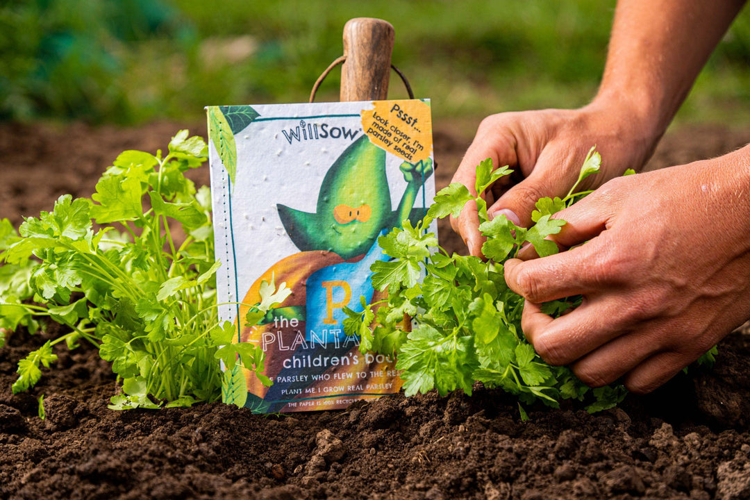 Willsow - Childrens Plantable Book - The Parsley Who Flew To The Rescue