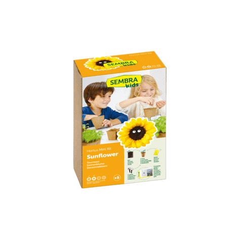 Sembra Sunflower Kit