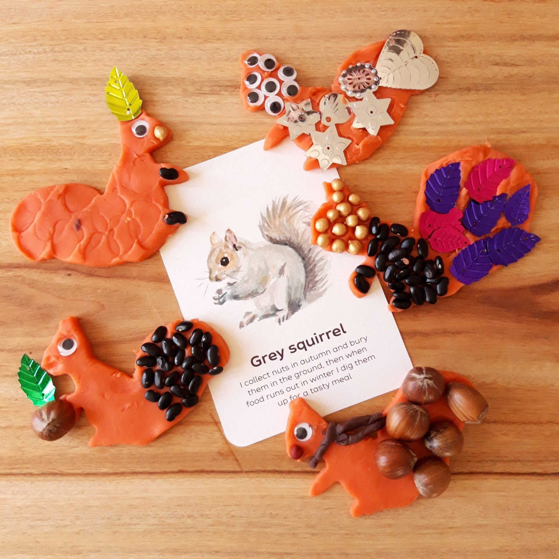 Buy Bee A Little Wild - Mammals Flashcards | for kids by Learning Bugs UK