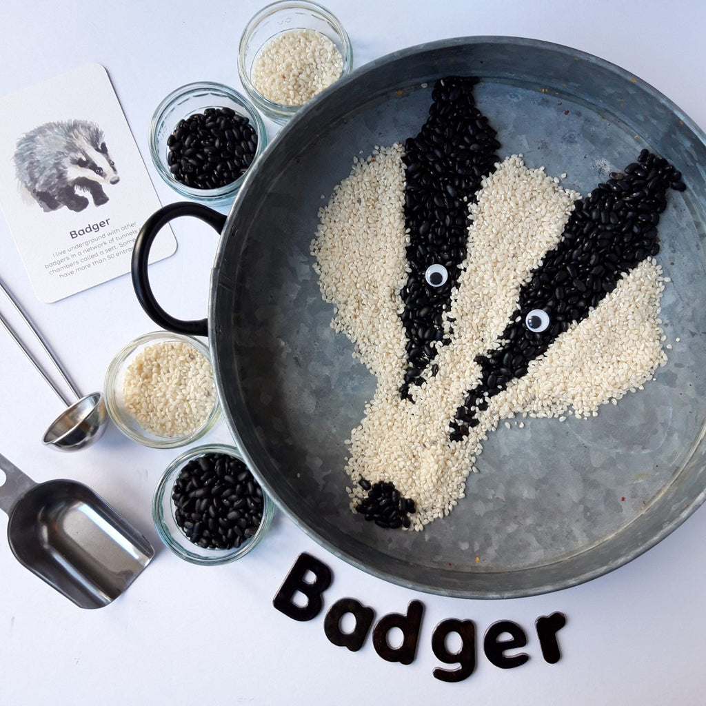 Buy Bee A Little Wild - Mammals Flashcards | for kids by Learning Bugs UK