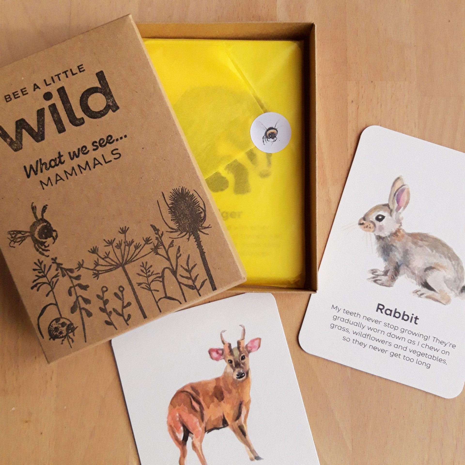 Buy Bee A Little Wild - Mammals Flashcards | for kids by Learning Bugs UK