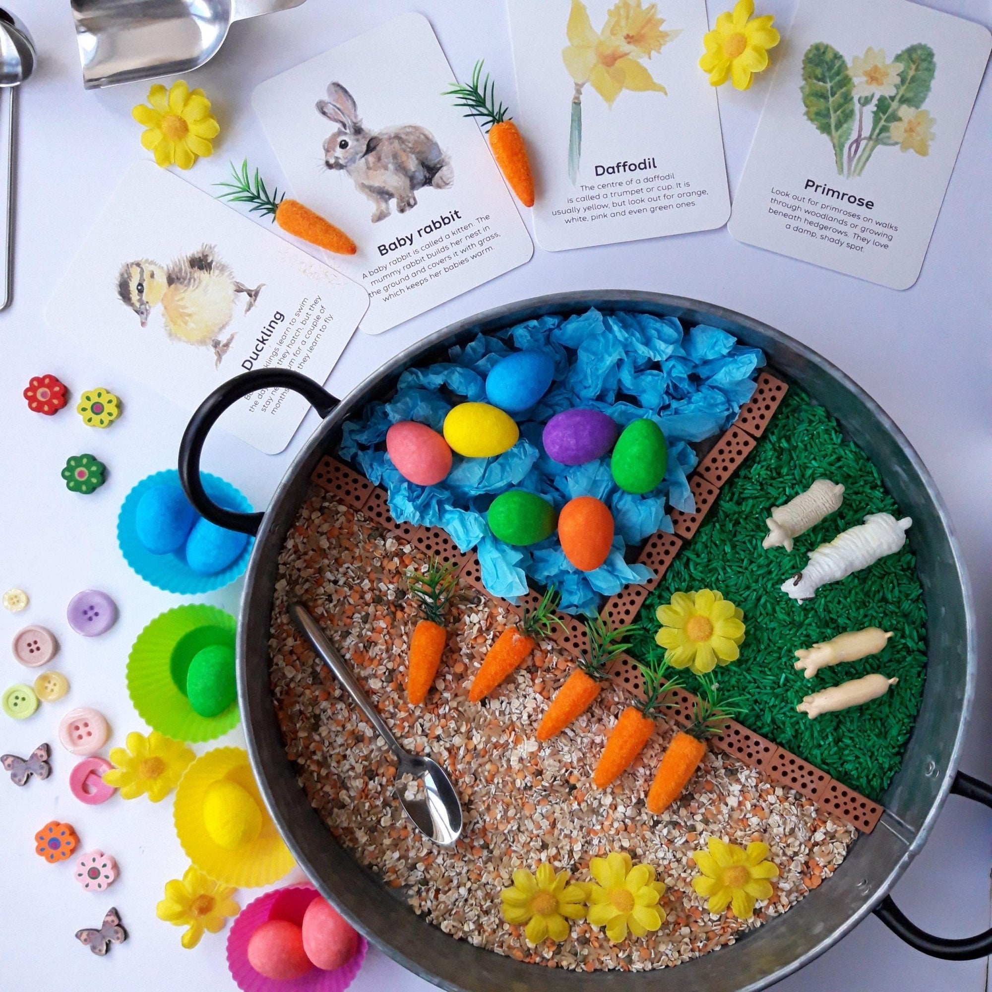 Buy Bee A Little Wild - Signs of Spring Flashcards | for kids by Learning Bugs UK