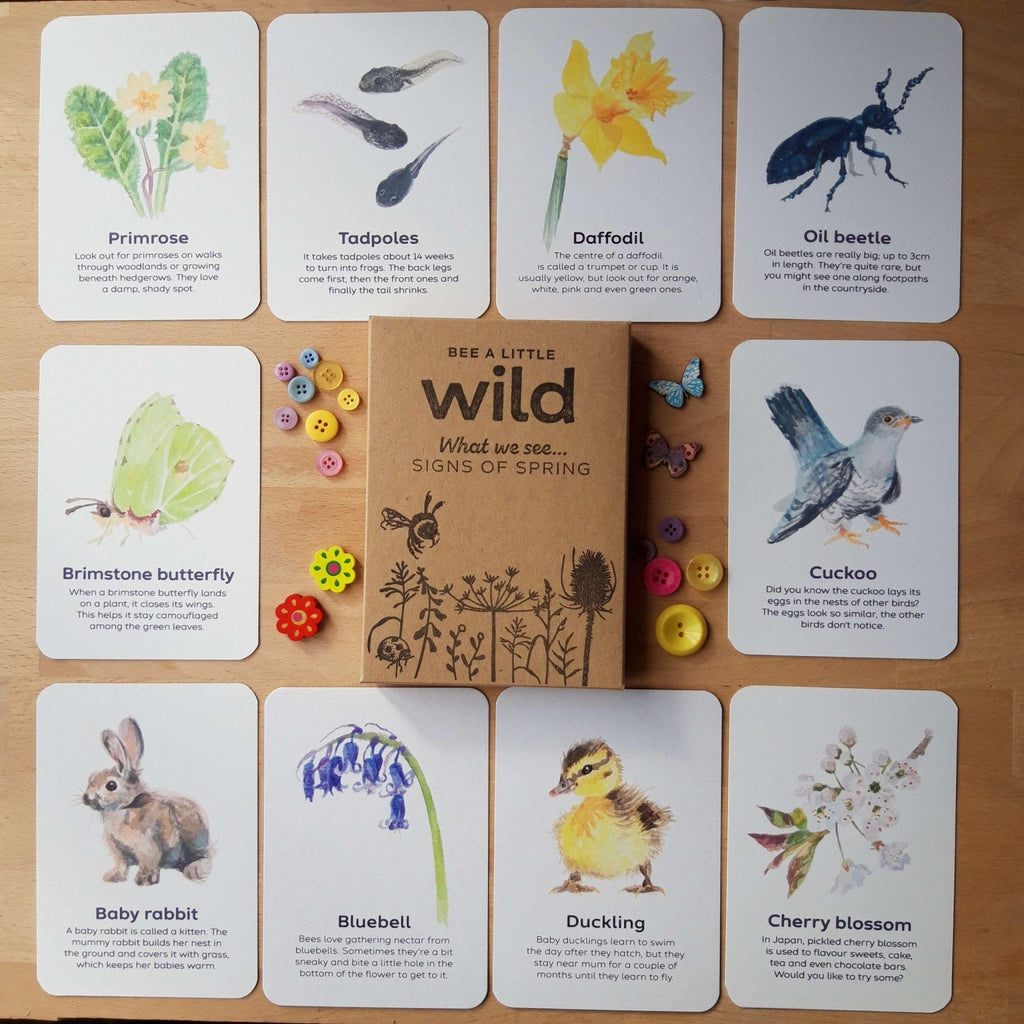 Buy Bee A Little Wild - Signs of Spring Flashcards | for kids by Learning Bugs UK