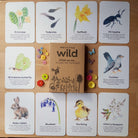Buy Bee A Little Wild - Signs of Spring Flashcards | for kids by Learning Bugs UK