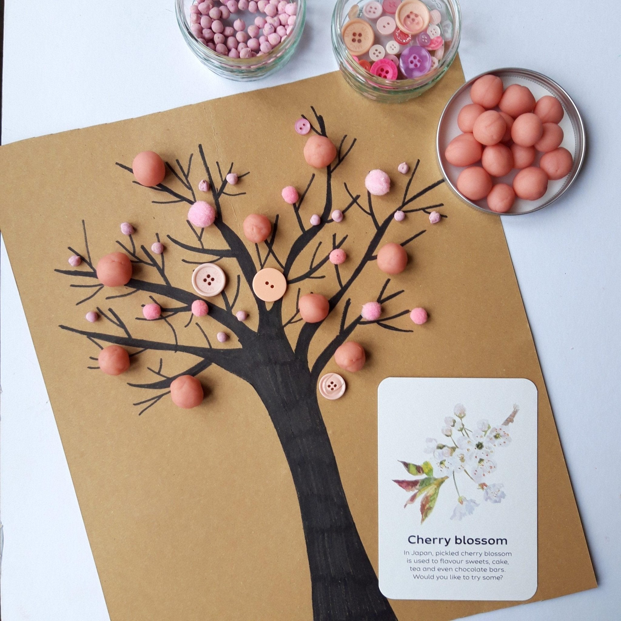 Buy Bee A Little Wild - Signs of Spring Flashcards | for kids by Learning Bugs UK