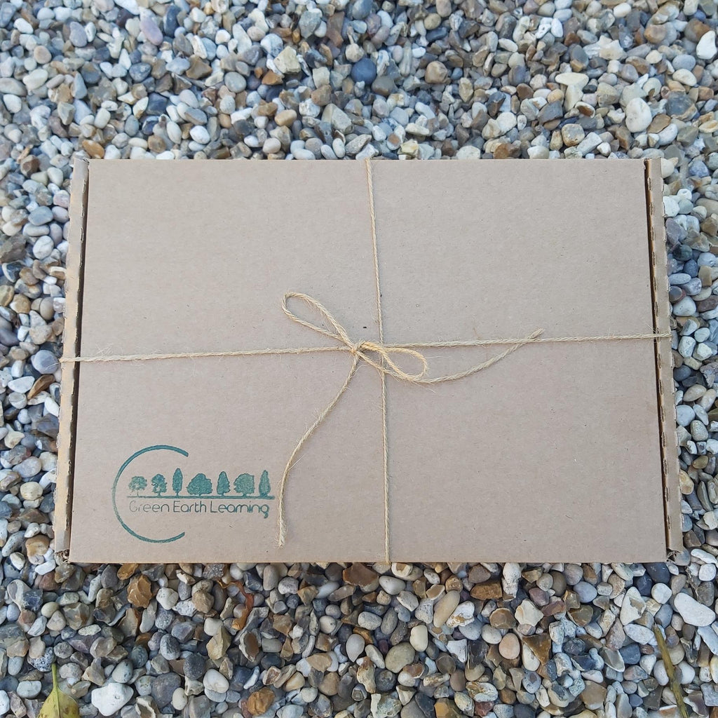 Buy Green Earth Learning Nature Storytelling Wooden Discs Gift Set | for kids by Learning Bugs UK