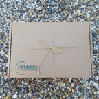 Buy Green Earth Learning Nature Storytelling Wooden Discs Gift Set | for kids by Learning Bugs UK