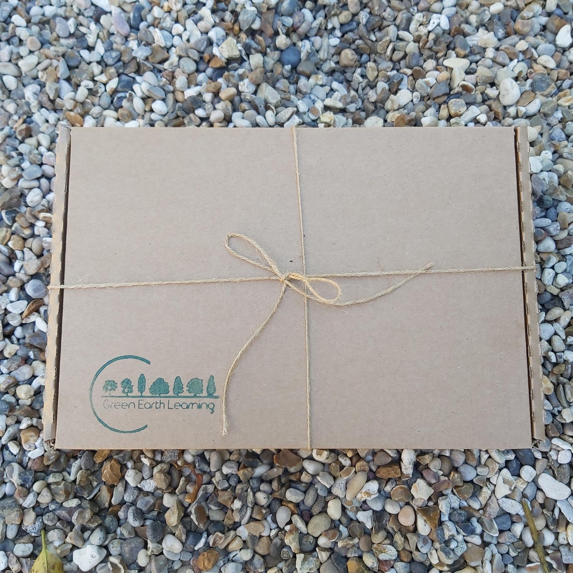 Buy Green Earth Learning Nature Storytelling Wooden Discs Gift Set | for kids by Learning Bugs UK