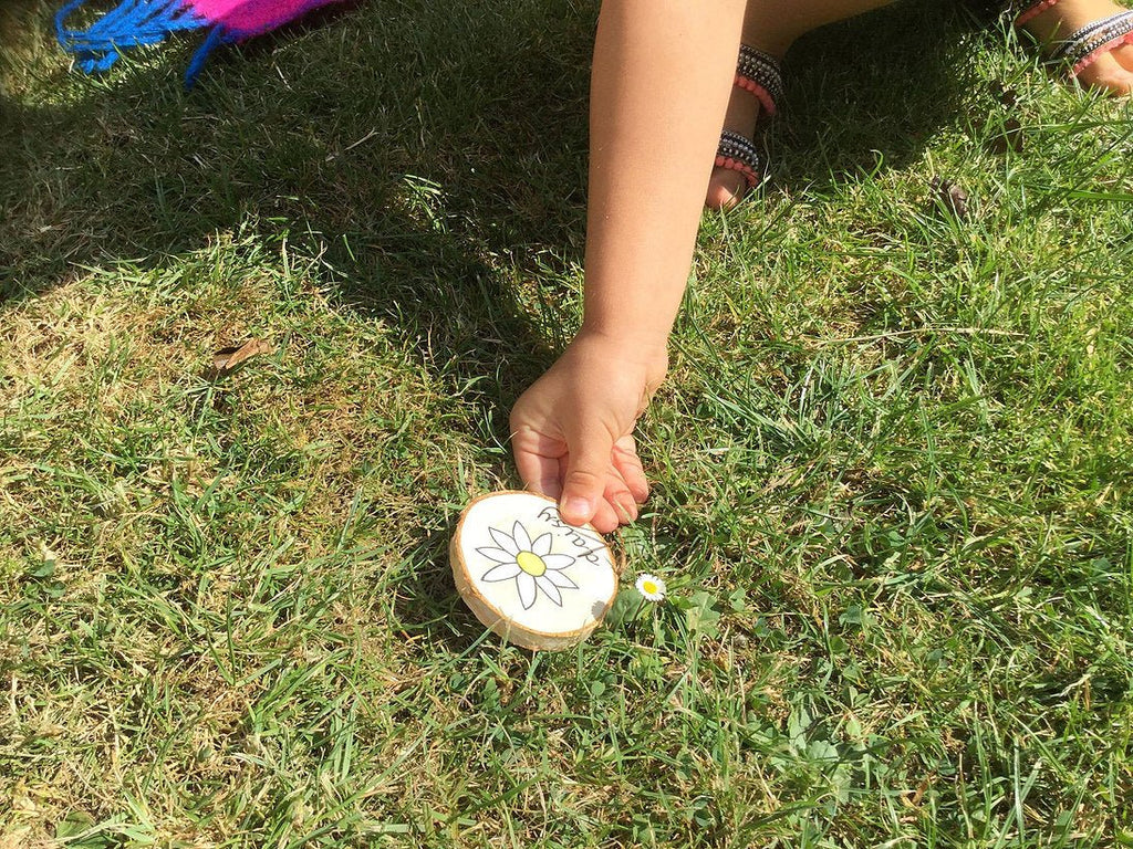 Buy Green Earth Learning Wooden Learning Disks - Scavenger Hunt | for kids by Learning Bugs UK