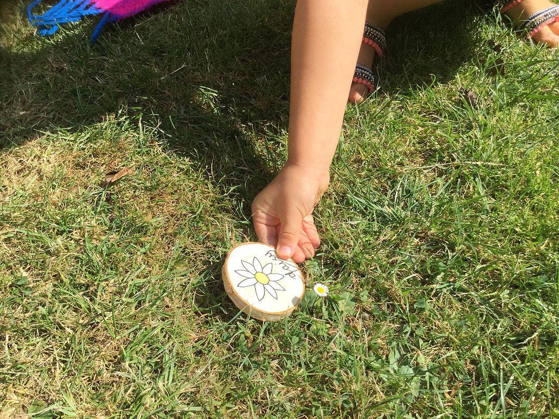 Buy Green Earth Learning Wooden Learning Disks - Scavenger Hunt | for kids by Learning Bugs UK