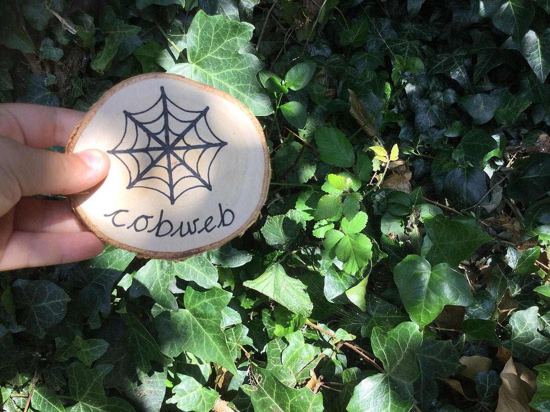 Buy Green Earth Learning Wooden Learning Disks - Scavenger Hunt | for kids by Learning Bugs UK