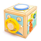 Buy IGGY Activity Cube | for kids by Learning Bugs UK