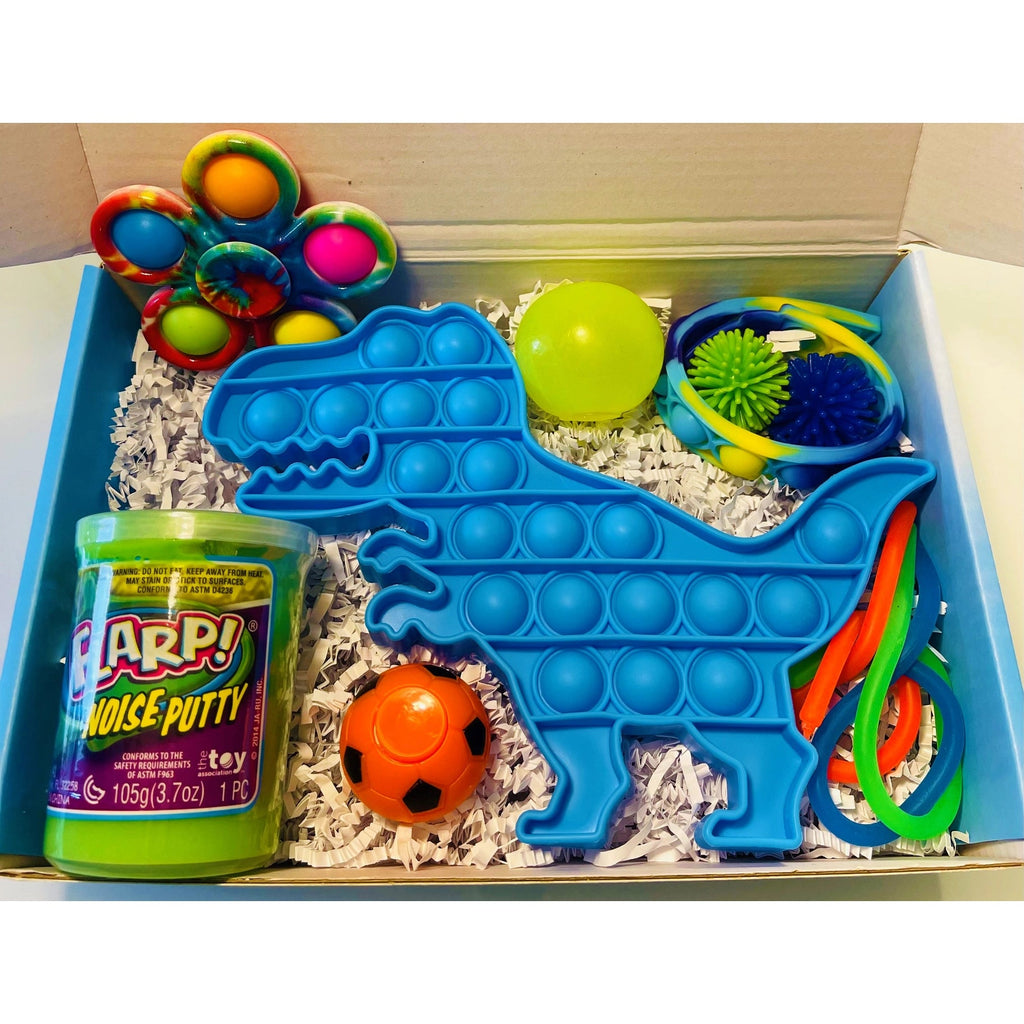 Buy Fidget Toy Box: Blue Dinosaur | for kids by Learning Bugs UK