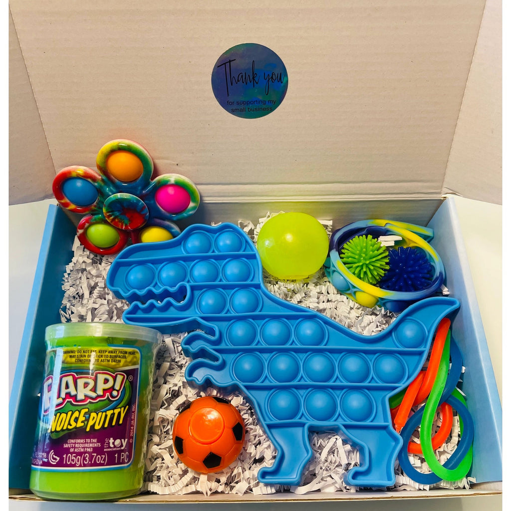 Buy Fidget Toy Box: Blue Dinosaur | for kids by Learning Bugs UK