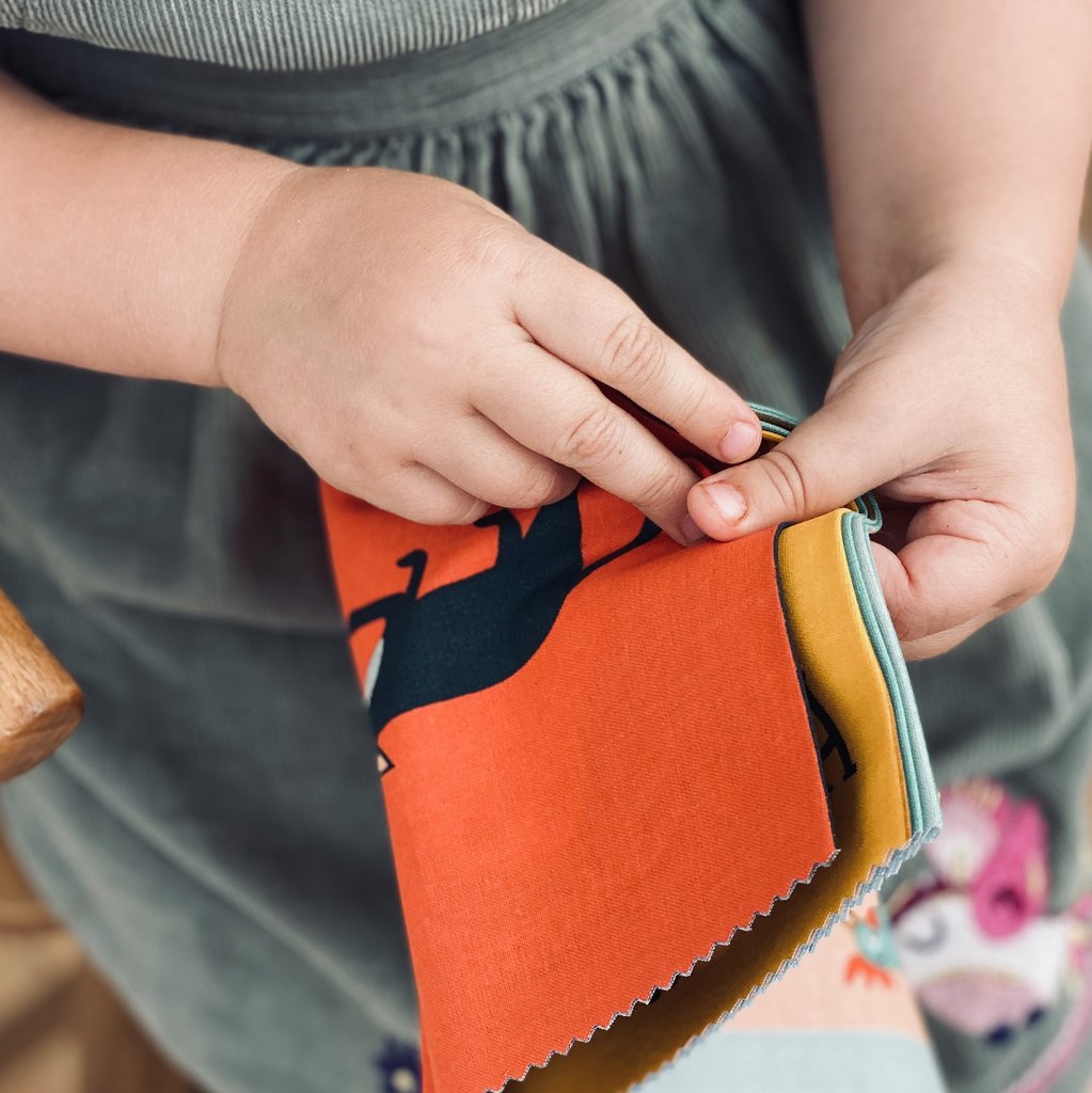 Buy Thread Bear Rag Book | for kids by Learning Bugs UK