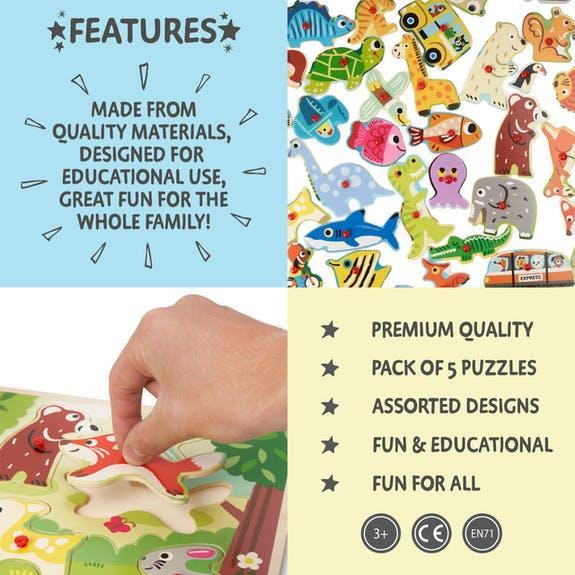 Buy Twiddlers Puzzles - Multi Pack 5 Puzzle Set | for kids by Learning Bugs UK
