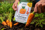 Willsow Children's Plantable Book – Eco Storybook with Real Carrot Seeds